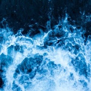 Meet your Posher, Elena